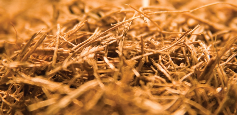 img_Natural plant fiber
