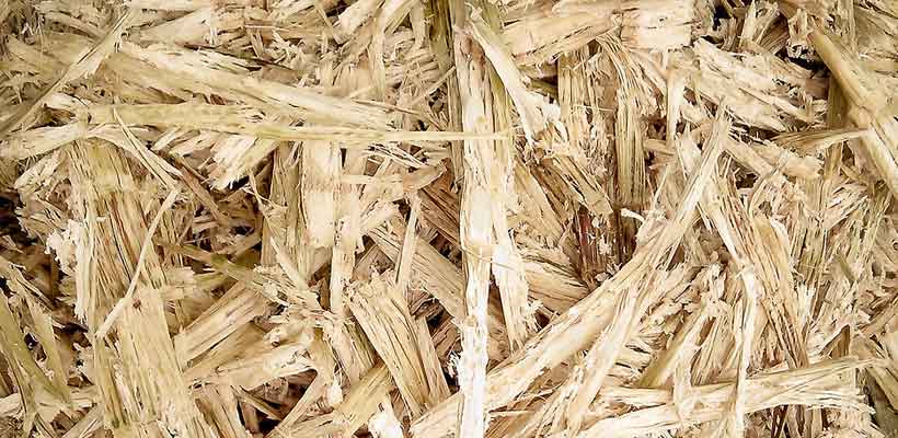 img_Sugarcane bagasse fibe